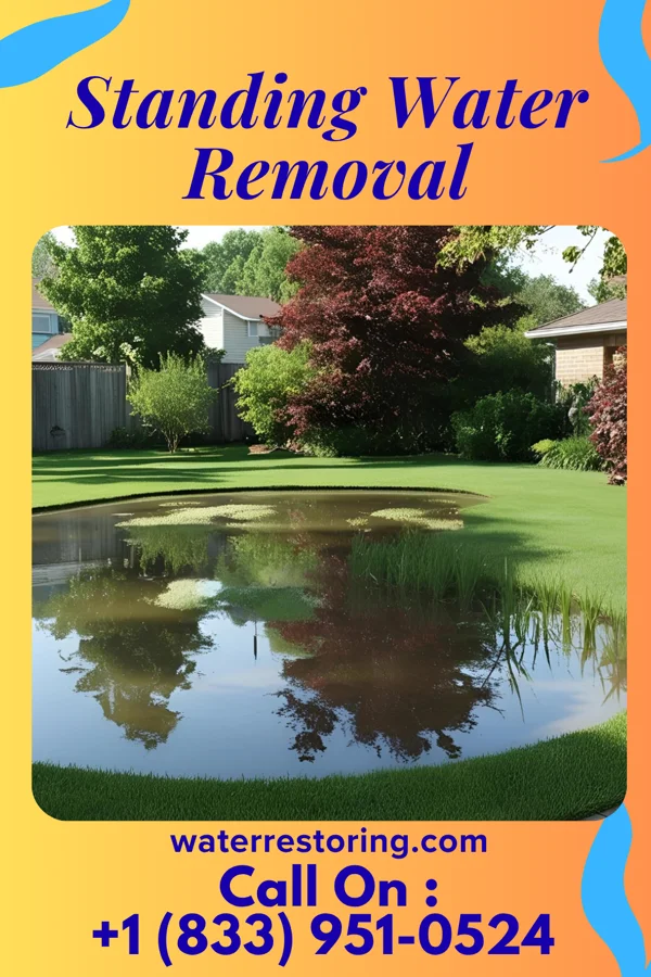 Standing Water Removal in Foxholm, ND